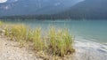 Distant Canoes on Emerald Lake Royalty Free Stock Photo