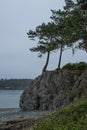 Distant cliffs across a large body of water covered in trees