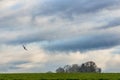 Distant Cropduster under cloudy skies