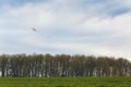 Distant Cropduster under cloudy skies