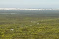 Distant desert dunes in De hoop nature reserve