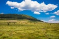 Distant herd of cows resting on grass meadow in Canencia mountain of Madrid