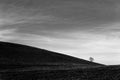 A distant, loney tree on a bare hill, beneath a deep sky with white clouds Royalty Free Stock Photo