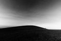 A distant, loney tree on a bare hill, beneath a deep sky with white clouds Royalty Free Stock Photo