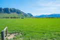 Sheep grazing in fields below snow-capped mountains of South Island Royalty Free Stock Photo