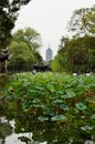 Distant Pagoda, Humble Administrator`s Garden, Suzhou, China Royalty Free Stock Photo