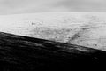 Distant people and dog hiking on mountain covered by snow