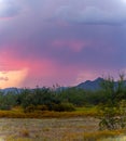 Distant rain in the Sonoran Desert of Arizona during sunset