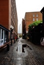 A distant St. Louis Arch reflects in a puddle Royalty Free Stock Photo