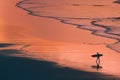 Distant surfer silhouette in the shore at sunset Royalty Free Stock Photo