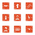 Distant territory icons set, grunge style Royalty Free Stock Photo