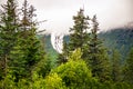 Distant view of Exit Glacier through treetops with top of mountain obscured by fog and smoke near Seward Alaska