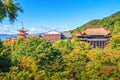 Distant view of Kiyomizu-dera temple inside green foliage and blue sky above in Kyoto, Japan