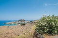 Distant view at Lindos Town and Castle with ancient ruins of the Acropolis on sunny warm day. View framed with flowers white