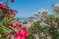 Distant view at Lindos Town and Castle with ancient ruins of the Acropolis on sunny warm day. View framed with flowers white