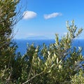 Distant View of Marettimo Island\'s Mountainous Profile from Levanzo Royalty Free Stock Photo