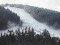 A distant view of a ski track between trees on a mountain with a forest Royalty Free Stock Photo