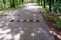 Distant view on two obstacles on a road in geeste emsland germany Royalty Free Stock Photo