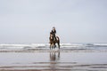 distant view of woman riding horse on sandy beach with ocean