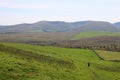 Distant walker bridleway through field with sheep