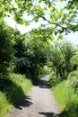 Distant walkers on footpath along old railway line Royalty Free Stock Photo