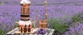 Distillation of lavender essential oil and hydrolate. Copper alambic for the flowering field.