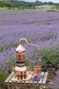 Distillation of lavender essential oil and hydrolate. Copper alambic for the flowering field.