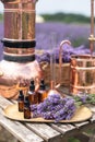Distillation of lavender essential oil and hydrolate. Copper alambic for the flowering field.