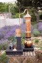 Distillation of lavender essential oil and hydrolate. Copper alambic for the flowering field.