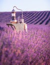 Distillation of lavender essential oil and hydrolate. Copper alambik for the flowering field.