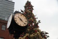 Distillery District Clock In Front of Christmas Tree Royalty Free Stock Photo