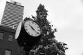 Distillery District Clock In Front of Christmas Tree Royalty Free Stock Photo
