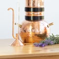 Distilling apparatus alembic with esential oil flowers. Royalty Free Stock Photo