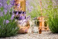 Distilling apparatus alembic with esential oil between of lavender field lines Royalty Free Stock Photo
