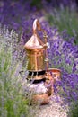 Distilling apparatus alembic with esential oil between of lavender field lines