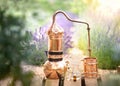 Distilling apparatus alembic with esential oil. Royalty Free Stock Photo