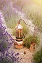 Distilling apparatus alembic with esential oil between of lavender field lines. Lavender flower field, illustration of