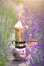 Distilling apparatus alembic on the ground with esential oil between of lavender field lines Royalty Free Stock Photo