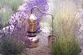 Distilling apparatus alembic on the ground with esential oil between of lavender field lines