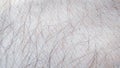 A distinct macro perspective of human skin texture in closeup.