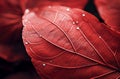 Distinctive Macro leaf red. Generate Ai Royalty Free Stock Photo