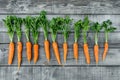 distorted and crooked carrots with deformed twisted forked roots - versatility, diversity, equality Royalty Free Stock Photo