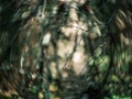 distorted forest plant details with old petzval lens