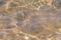 Distorted texture of sand under water. Transparent water ripples, sand waves and glare of sunlight. Seabed background Royalty Free Stock Photo