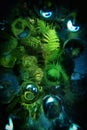 Distorted view into a haunted fountain, covered with a glass plate, dew drops, ferns and moss, enchanted drops of water