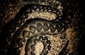 Distress golden crocodile skin grunge texture. Black and white background