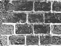 Distress old brick wall texture. Black and white grunge background. Vector illustration Royalty Free Stock Photo