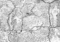 Distress old cracked concrete wall texture. Royalty Free Stock Photo