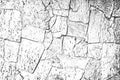 Distress old cracked concrete wall texture. Royalty Free Stock Photo