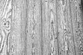 Distress old dry wooden texture. Black and white texture and wood background.